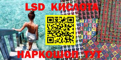 крисы Аргун