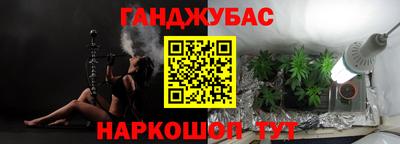 крисы Аргун
