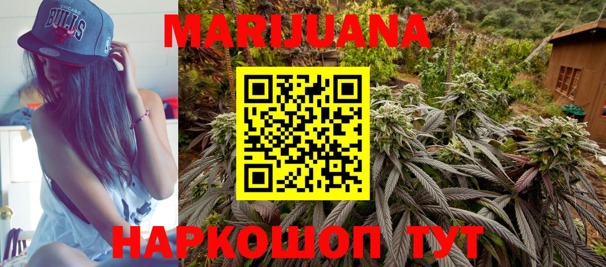 Конопля SATIVA & INDICA  МАРИХУАНА план  МАРИХУАНА планчик  Вход с VPN  Брянск 